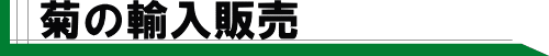 e̗A̔